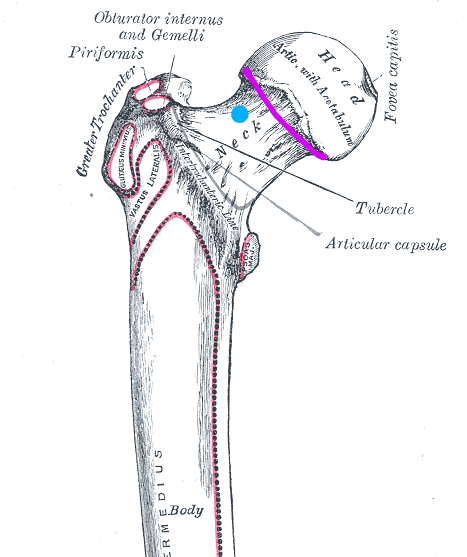 injection in hip