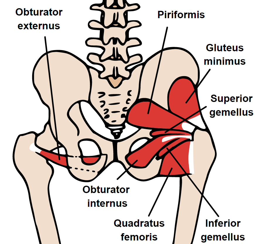 Piriformis Injection  Excel Pain and Spine